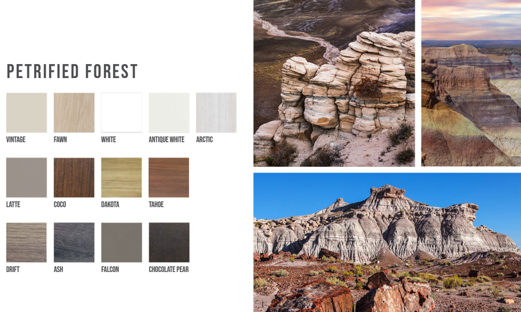 petrifiedforest - Closets by Clever