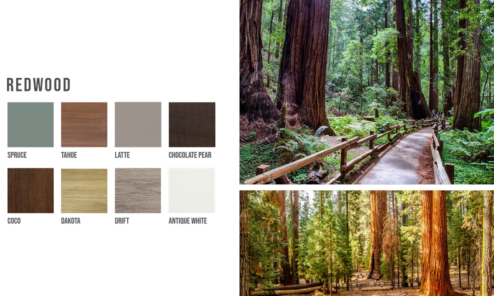 redwood - Closets by Clever